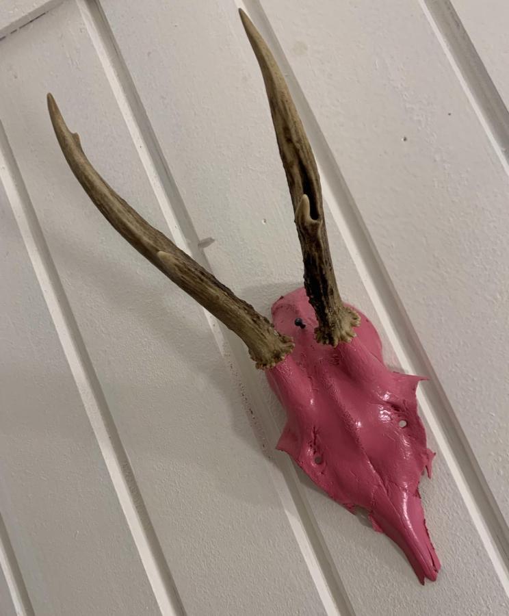 Pinkdeer Διαμέρισμα Χάλστατ Εξωτερικό φωτογραφία